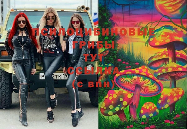 кокс Алексеевка