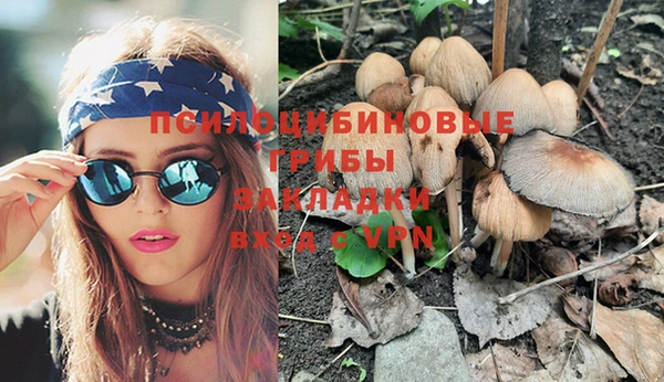 spice Алзамай