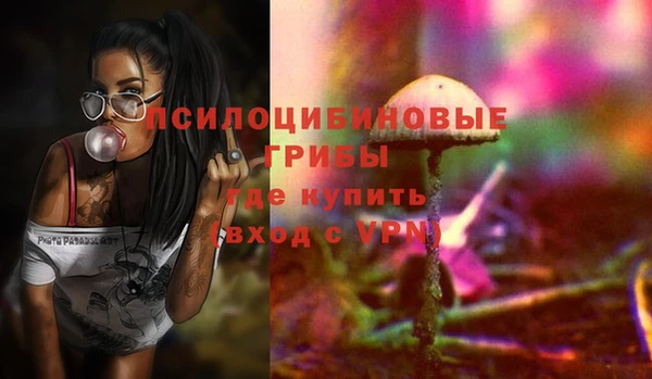 spice Алзамай